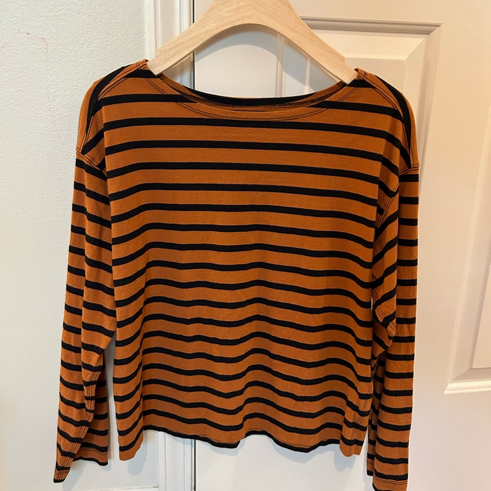 Everlane Brown and Black Striped Long Sleeve Tee